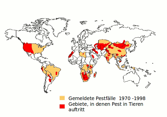 Verbreitung der Pest 1998