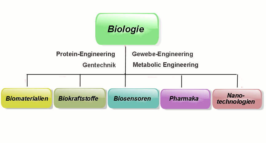 Anwendungsgebiete der Synthetischen Biologie