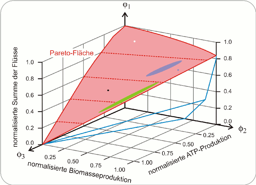 Pareto-Fläche