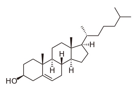 Chemische Struktur des Cholesterin