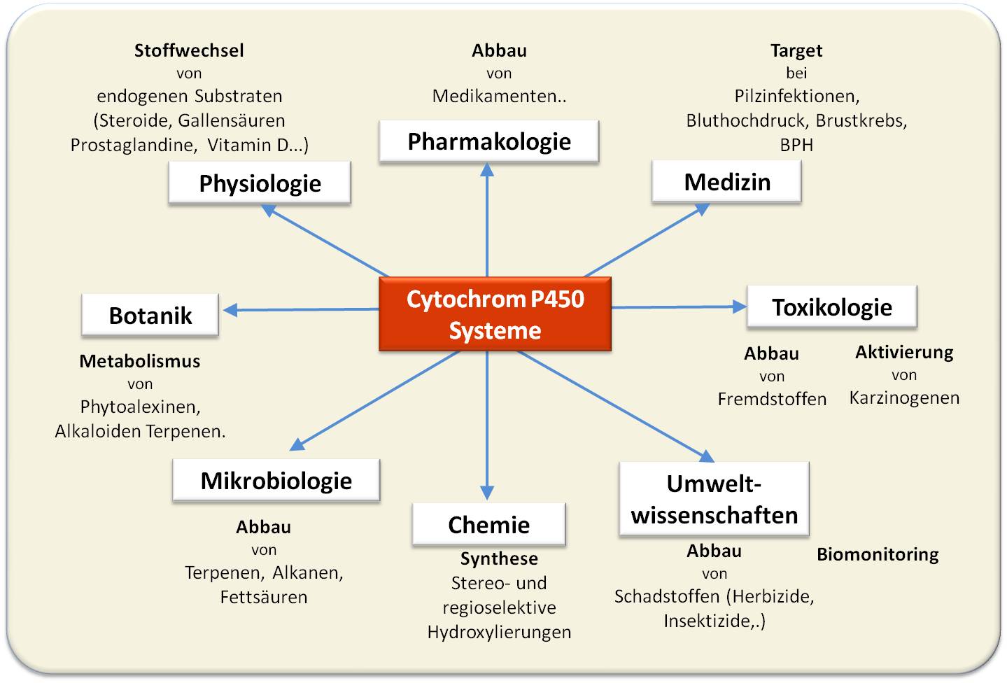 Funktion und Anwendungen von Cytochrom P450 Enzymen